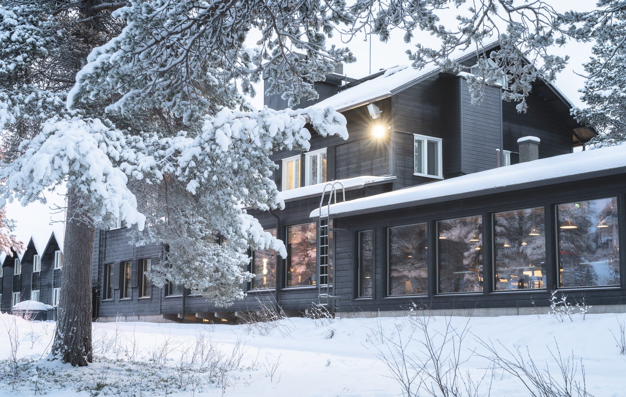 Wilderness Hotel Juutua in een winterse omgeving
